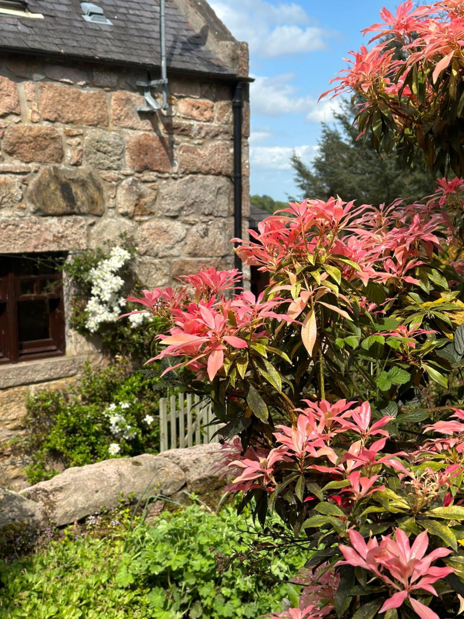 Awakening Alchemy Retreat Centre Panzió Inverurie Kültér fotó