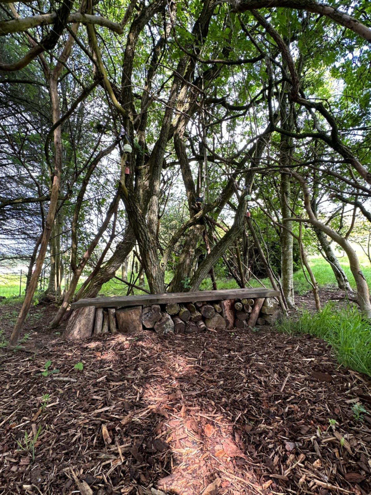 Awakening Alchemy Retreat Centre Panzió Inverurie Kültér fotó
